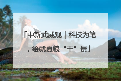 中新武威观｜科技为笔，绘就夏粮“丰”景