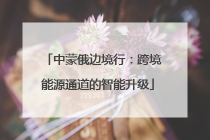 中蒙俄边境行：跨境能源通道的智能升级