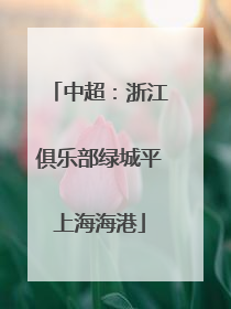中超：浙江俱乐部绿城平上海海港