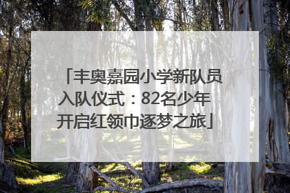 丰奥嘉园小学新队员入队仪式：82名少年开启红领巾逐梦之旅
