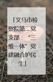 义马市检察院第二党支部：“三维一体”党建融合护民生