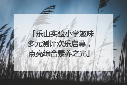 乐山实验小学趣味多元测评欢乐启幕，点亮综合素养之光