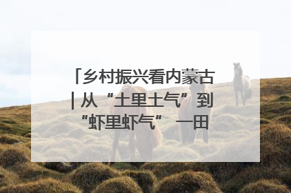 乡村振兴看内蒙古｜从“土里土气”到“虾里虾气” 一田双收模式火出圈