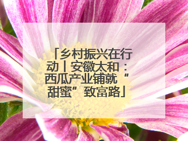 乡村振兴在行动丨安徽太和：西瓜产业铺就“甜蜜”致富路