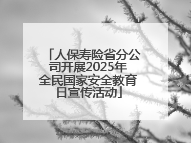 人保寿险省分公司开展2025年全民国家安全教育日宣传活动