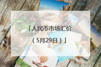 人民币市场汇价（5月29日）