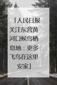 人民日报关注东营黄河口候鸟栖息地：更多飞鸟在这里安家
