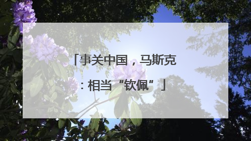 事关中国，马斯克：相当“钦佩”
