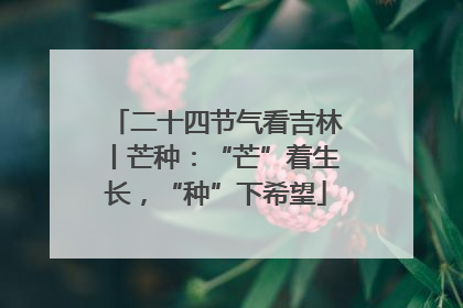 二十四节气看吉林丨芒种：“芒”着生长，“种”下希望