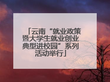 云南“就业政策暨大学生就业创业典型进校园”系列活动举行