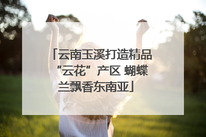云南玉溪打造精品“云花”产区 蝴蝶兰飘香东南亚