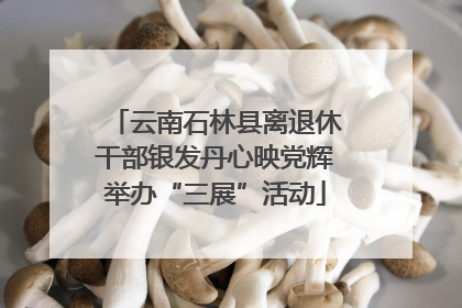 云南石林县离退休干部银发丹心映党辉举办“三展”活动
