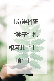 京津科研“种子”扎根河北“土壤”