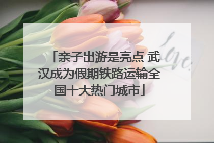 亲子出游是亮点 武汉成为假期铁路运输全国十大热门城市