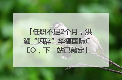 任职不足2个月，洪灏“闪辞”华福国际CEO，下一站已敲定