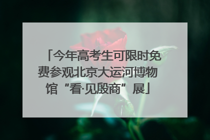 今年高考生可限时免费参观北京大运河博物馆“看·见殷商”展