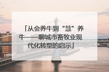 从会养牛到“慧”养牛——聊城市畜牧业现代化转型的启示