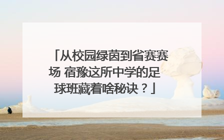 从校园绿茵到省赛赛场 宿豫这所中学的足球班藏着啥秘诀？