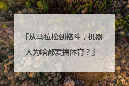 从马拉松到格斗，机器人为啥都爱搞体育？