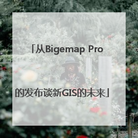 从Bigemap Pro的发布谈新GIS的未来