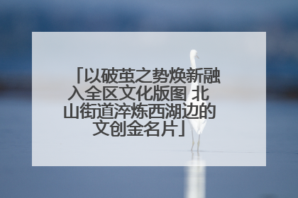以破茧之势焕新融入全区文化版图 北山街道淬炼西湖边的文创金名片