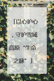 以心护心，守护雪域高原“生命之脉”