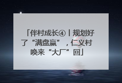 伴村成长④丨规划好了“满盘赢”，仁义村唤来“大厂”回