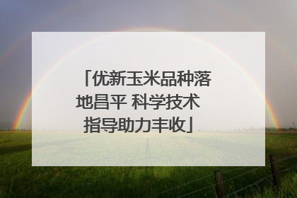 优新玉米品种落地昌平 科学技术指导助力丰收