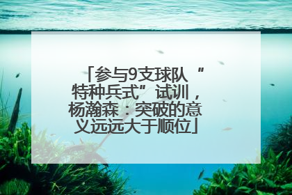 参与9支球队“特种兵式”试训，杨瀚森：突破的意义远远大于顺位