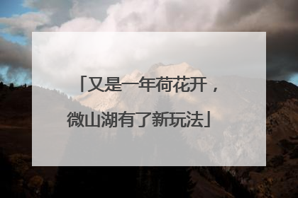 又是一年荷花开，微山湖有了新玩法