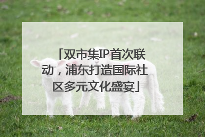 双市集IP首次联动，浦东打造国际社区多元文化盛宴