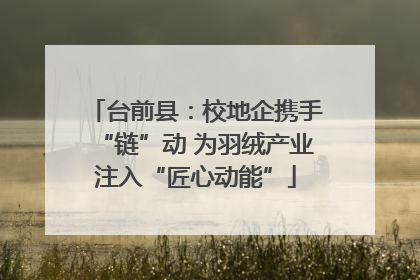 台前县：校地企携手“链”动 为羽绒产业注入“匠心动能”