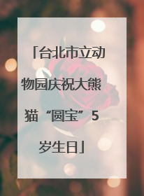 台北市立动物园庆祝大熊猫“圆宝”5岁生日