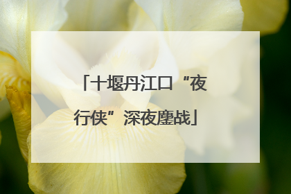 十堰丹江口“夜行侠”深夜鏖战