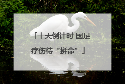 十天倒计时 国足疗伤待“拼命”