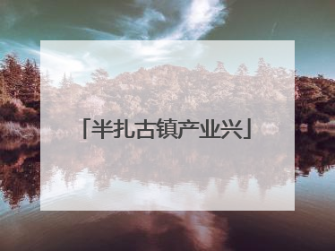 半扎古镇产业兴