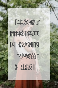 半条被子播种红色基因《沙洲的“小树苗”》出版