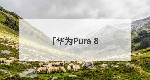 华为Pura 80系列今日开启预约！外观首次亮相：超大三角镜头模组