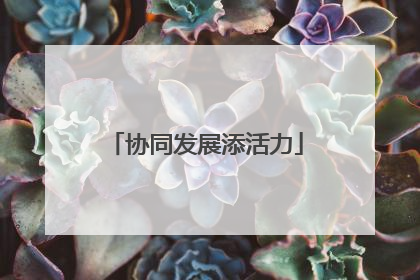 协同发展添活力