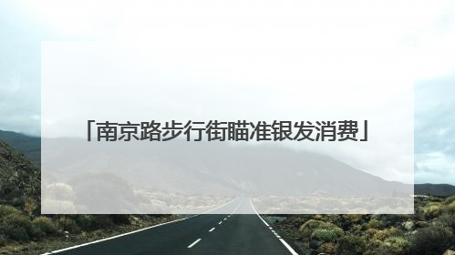 南京路步行街瞄准银发消费