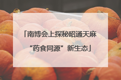 南博会上探秘昭通天麻“药食同源”新生态