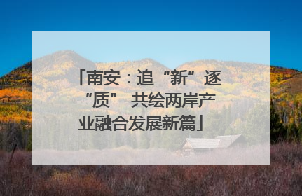 南安：追“新”逐“质” 共绘两岸产业融合发展新篇