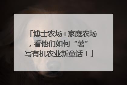 博士农场+家庭农场，看他们如何“薯” 写有机农业新童话！