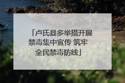 卢氏县多举措开展禁毒集中宣传 筑牢全民禁毒防线
