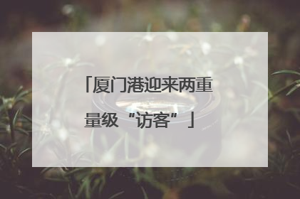 厦门港迎来两重量级“访客”