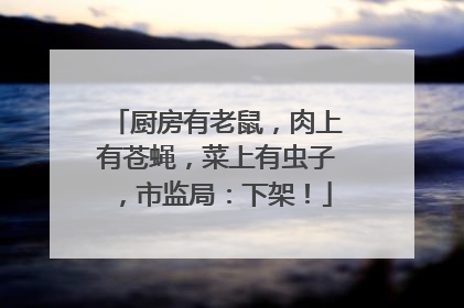 厨房有老鼠，肉上有苍蝇，菜上有虫子，市监局：下架！