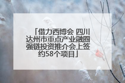 借力西博会 四川达州市重点产业融圈强链投资推介会上签约58个项目
