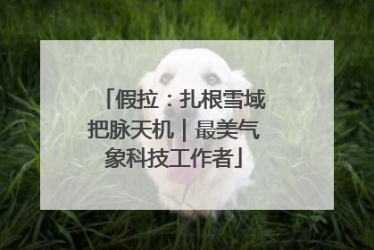 假拉：扎根雪域把脉天机｜最美气象科技工作者