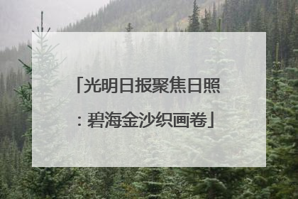 光明日报聚焦日照：碧海金沙织画卷