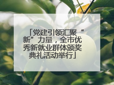 党建引领汇聚“新”力量，全市优秀新就业群体颁奖典礼活动举行